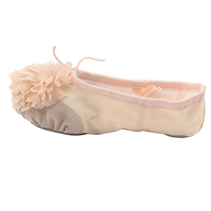 Woman's Canvas Ballet Dancing Shoes with Flower