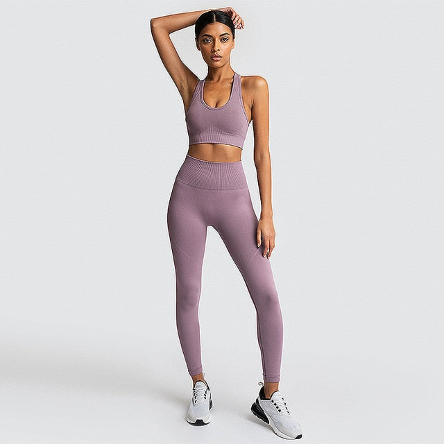 Seamless Workout Set Sport Leggings Top Set Yoga Outfits for Women