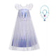Princess Elsa Party Dress up for Girls Short Sleeve Shimmering Sequins Birthday Elsa Snow Queen Cosplay Kid Role Play Elsa Dress